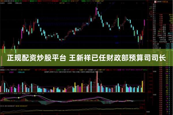 正规配资炒股平台 王新祥已任财政部预算司司长